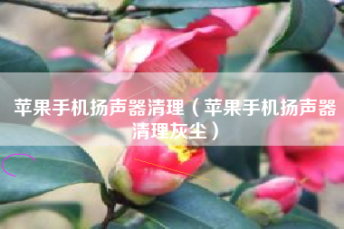苹果手机扬声器清理(苹果手机扬声器清理灰尘)