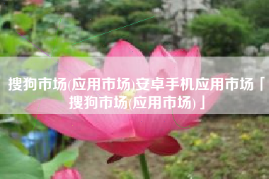 搜狗市场(应用市场)安卓手机应用市场「搜狗市场(应用市场)」